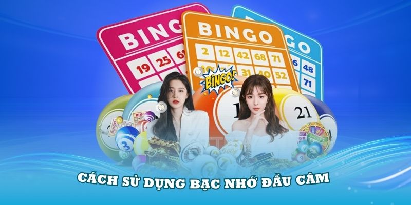 Nắm vững cách sử dụng bạc nhớ đầu câm