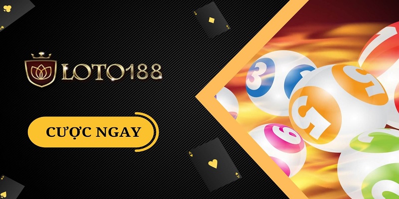 Giới thiệu nhà cái Loto188